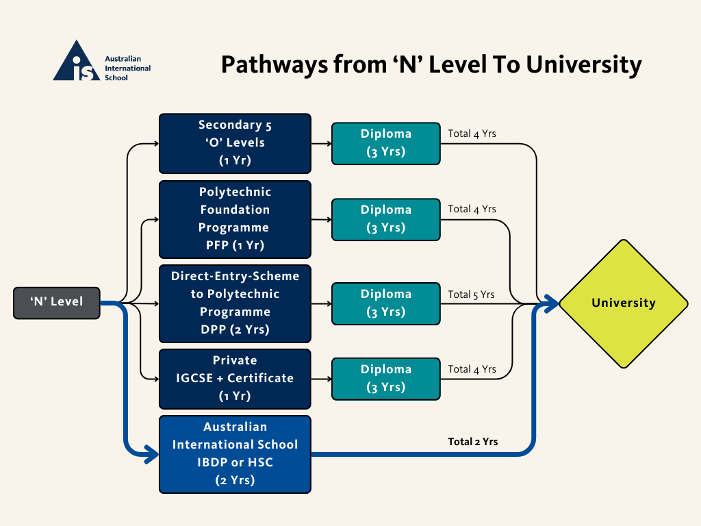 Pathway options from N Level To University